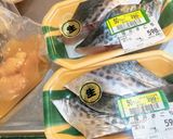 サゴチ(サワラ)の西京漬け風作り方1写真