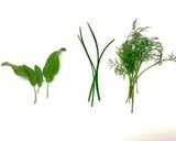 Spinach Ravioli作り方17写真
