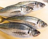 臭みゼロ！ 鯵のなめろう作り方3写真