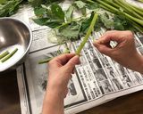 ほやとミズの水物作り方2写真