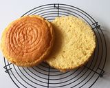 しっとり、ふんわりスポンジケーキ作り方20写真