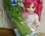 リカちゃん♡三つ葉と鶏肉の鍋〜ポン酢〜作り方3写真