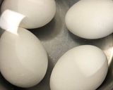 とろ〜り半熟味付けたまご作り方1写真