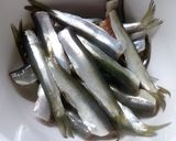 魚とは思えない！簡単♪絶品☆イワシバーグ作り方1写真