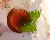 すももの酵素ジュース作り方10写真