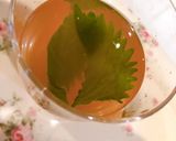 すももの酵素ジュース作り方11写真
