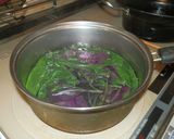 金時草のお浸し作り方6写真