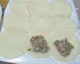 野菜がシャキシャキ!ジューシー餃子作り方9写真