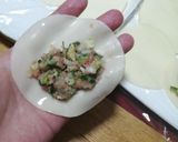 野菜がシャキシャキ!ジューシー餃子作り方11写真