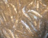 カタクチイワシ(セグロイワシ)の甘露煮♪作り方8写真