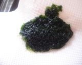 麺つゆに混ぜてかけるだけ♪生のり蕎麦作り方1写真
