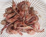 小エビの唐揚げ(。-∀-)作り方2写真
