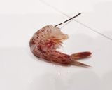 小エビの唐揚げ(。-∀-)作り方4写真