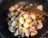 夏野菜のチキントマトカレー作り方8写真