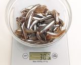きびなご アンチョビ作り方6写真