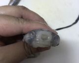 イカの掃除作り方6写真