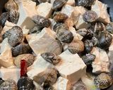 豆腐とあさりの中華蒸し作り方6写真