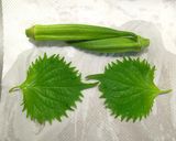 レンジで簡単◎オクラの肉巻き作り方1写真