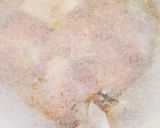 大根と鶏肉の煮物(☆∀☆)作り方6写真