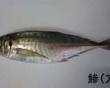 初挑戦！鯵の三枚おろし作り方1写真
