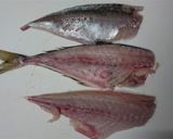 初挑戦！鯵の三枚おろし作り方6写真