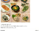 鶏肉のトマト ソース煮(簡単ソースで)作り方21写真