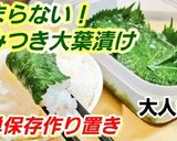 人気!大葉漬け/ご飯のお供/作り置き保存作り方3写真