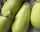 感動!白ナストロトログラタン作り方1写真