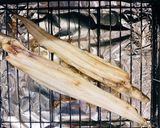 今が旬✨上品　ふっくら煮穴子作り方1写真