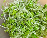 毎日の納豆●みじん切りスプラウトと混ぜて作り方1写真
