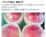 桃の保存方法 ☆つくレポ100人感謝☆作り方8写真