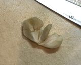 ベーコンとにんにくのペペロンチーノ作り方2写真