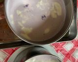ブルーベリーのチーズケーキ作り方10写真