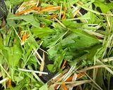 ゴボウと水菜のツナマヨ炒め作り方3写真