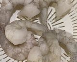 海老サムギョプサル作り方1写真