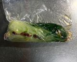 水菜の浅漬け作り方4写真