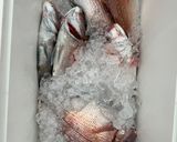 釣って来た花鯛のアクアパッツァ作り方1写真