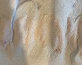 甘辛⭐︎手羽中揚げ作り方1写真