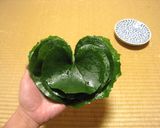 ツワブキの天ぷら&煮物作り方13写真