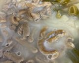 簡単美味すぎもつ煮込み作り方5写真