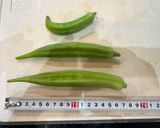 田中家の”育ちすぎたオクラ”のかき揚げ作り方1写真