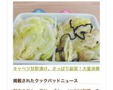 キャベツ甘酢漬け。さっぱり副菜！大量消費作り方13写真