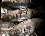 アジの塩焼き作り方3写真