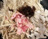 常備菜に！にんにくポン酢のきのこ炒め作り方1写真