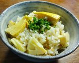 楽しい燕麦の発芽！　オートグローツ作り方11写真