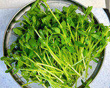 簡単・節約！豆苗の旨塩炒め作り方1写真