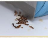 鶏とネギの酒粕蒸し【食遺産】作り方10写真
