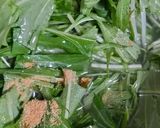 あっという間に♪水菜すりごまスープ煮作り方3写真