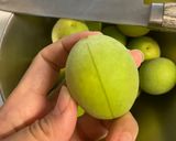 はちみつ梅シロップ作り方3写真
