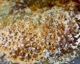 贅沢ミスジの極上ステーキ丼！パクチー添え作り方5写真